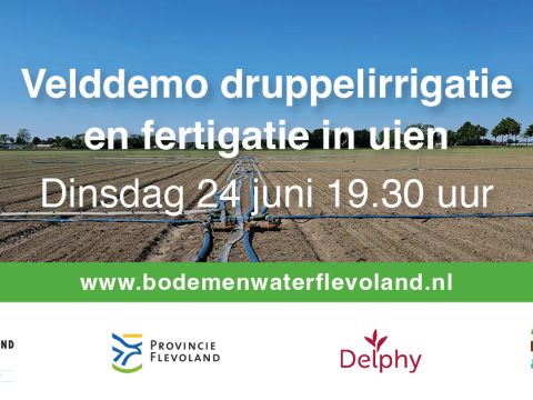 24 juni: velddemo druppelirrigatie en fertigatie in uien