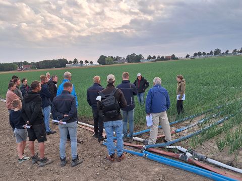 Velddemo toont mogelijkheden van druppelirrigatie en fertigatie in uien