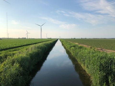 Inzicht in stikstofbenutting: samen werken aan een duurzame toekomst