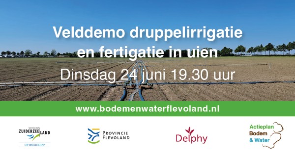 24 juni: velddemo druppelirrigatie en fertigatie in uien 24 juni: velddemo druppelirrigatie en fertigatie in uien