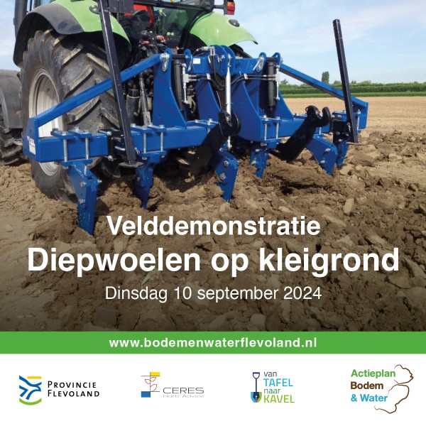 Velddemonstratie Diepwoelen op kleigrond