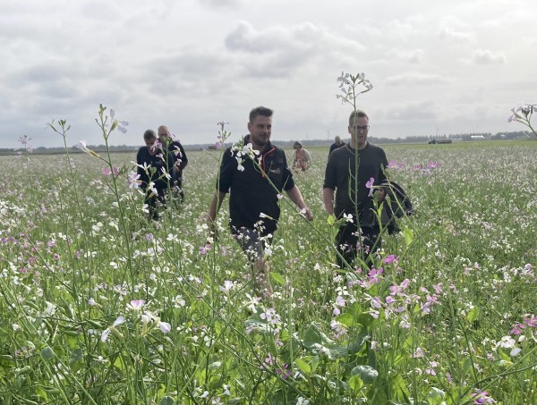 Praktijknetwerk Bloembollenteelt Flevoland werkt aan vergroening van de teelt