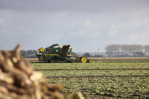 Landelijke subsidie voor groen-economisch herstel landbouw