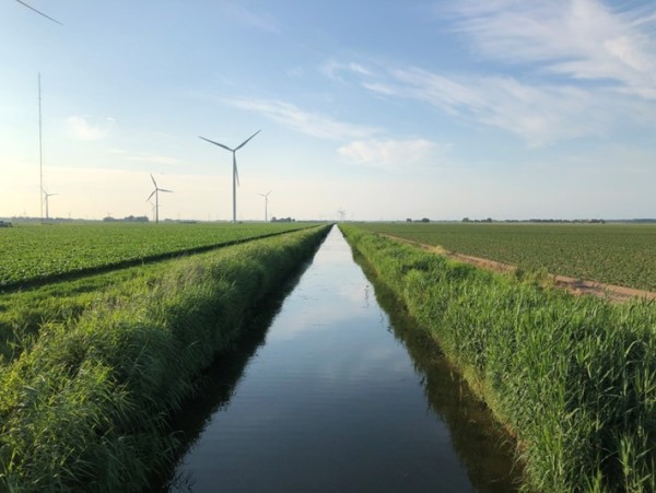 Inzicht in stikstofbenutting: samen werken aan een duurzame toekomst