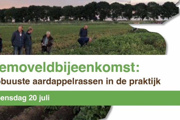 20 juli: Demoveldbijeenkomst Robuuste aardappelrassen in de praktijk