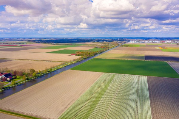 Waterschap Zuiderzeeland steunt drie projecten voor schoner water