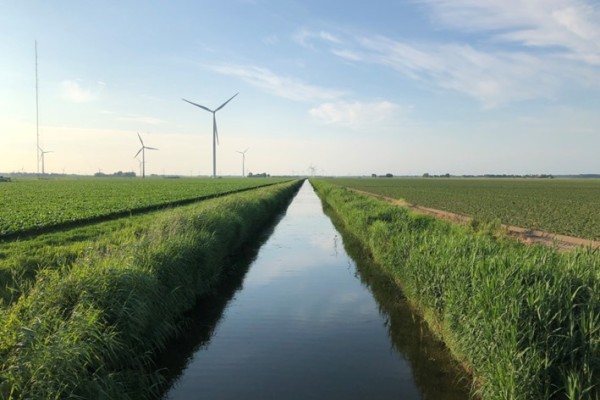 Inzicht in stikstofbenutting: samen werken aan een duurzame toekomst