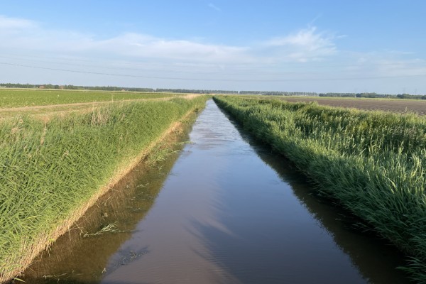 Denk mee over de toekomst van water in Flevoland